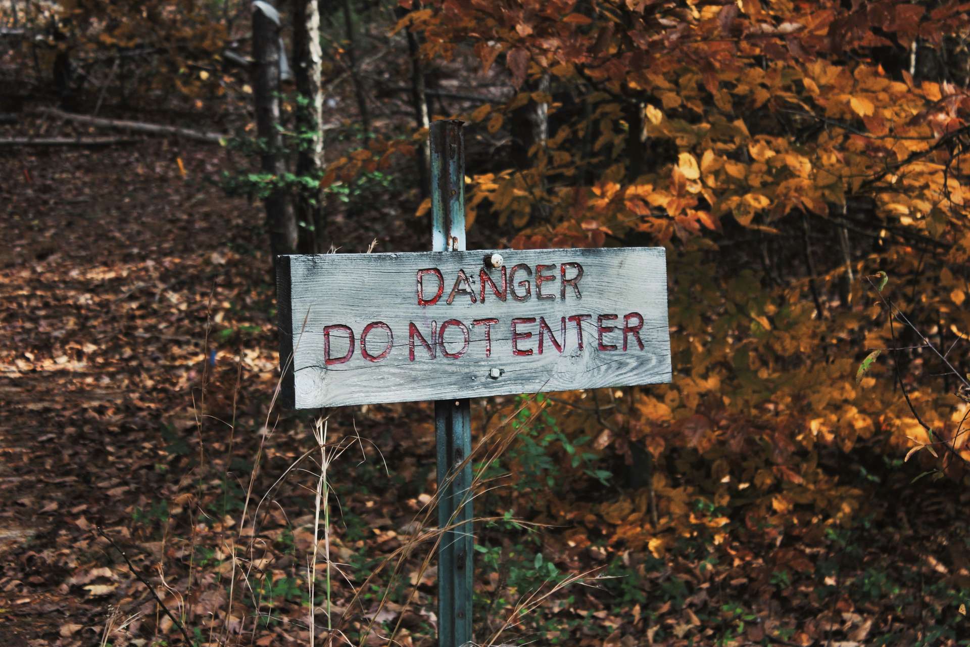 a wooden danger do not enter sign in a wood in autumn